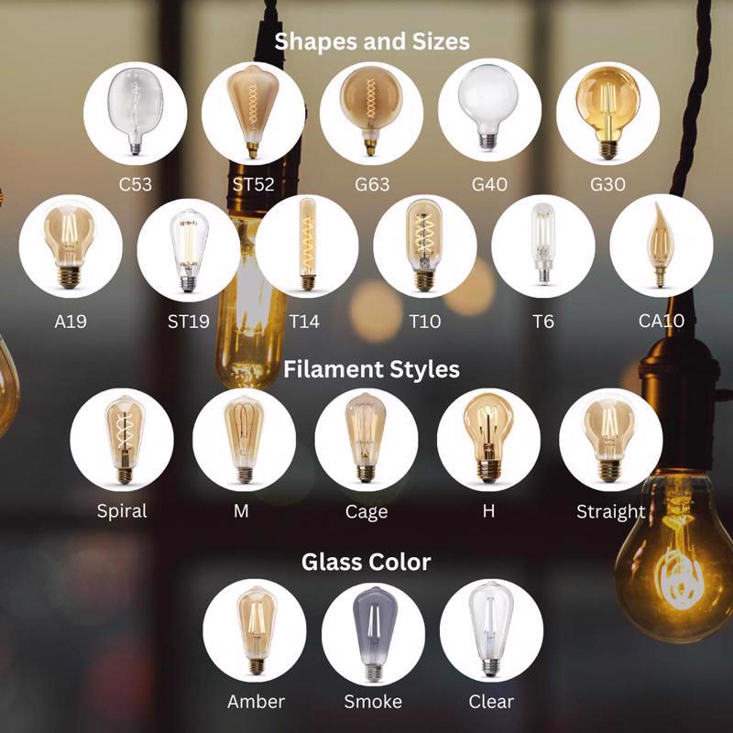 Feit ST19 E26 (Medium) Filament LED Bulb Warm White 40 Watt Equivalence 2 pk