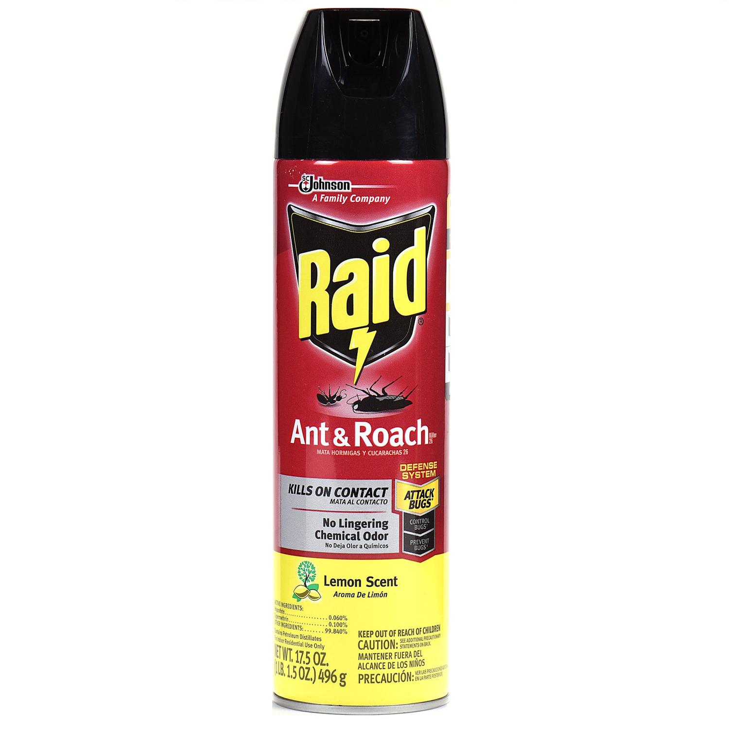 Raid Insect Killer Aerosol 17.5 oz