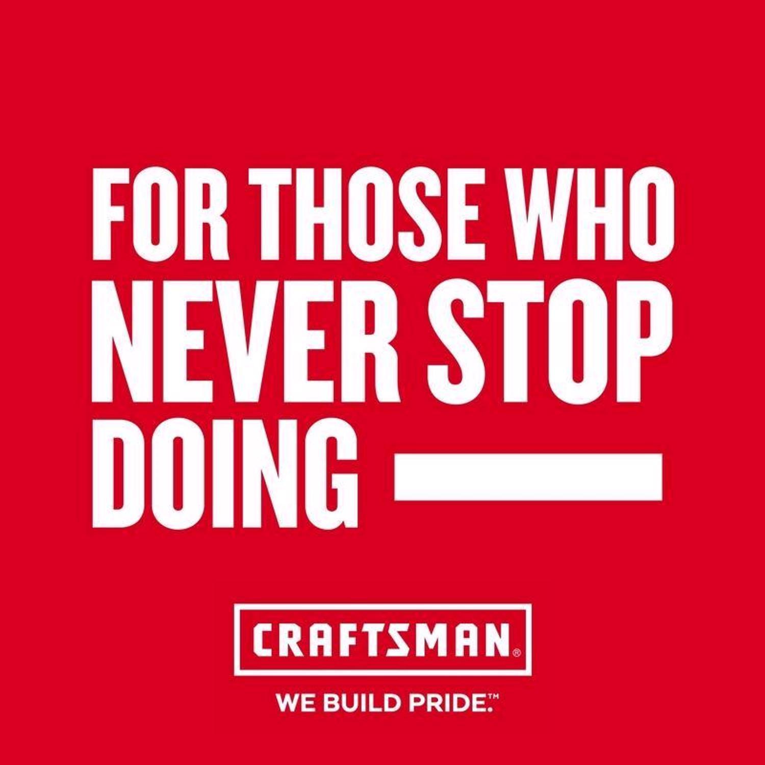 Craftsman V20 CMCCS610D1 10 in. Battery Chainsaw Kit (Battery & Charger)
