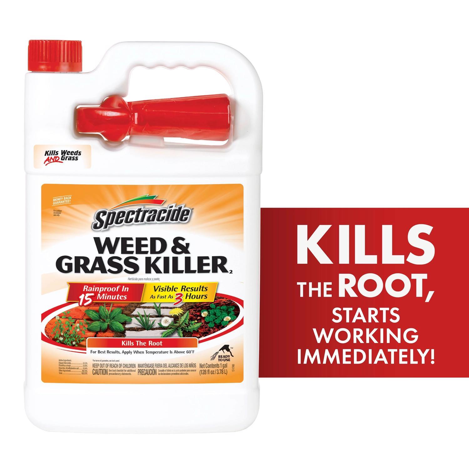 Spectracide Weed and Grass Killer RTU Liquid 1 gal