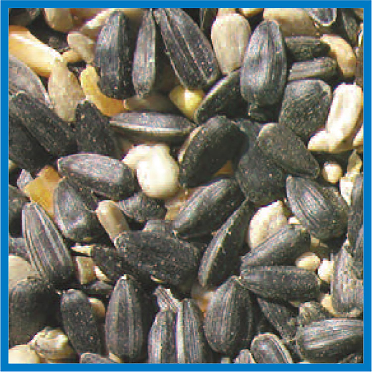 Cole's Blue Ribbon Blend Wild Bird Food 20 lb