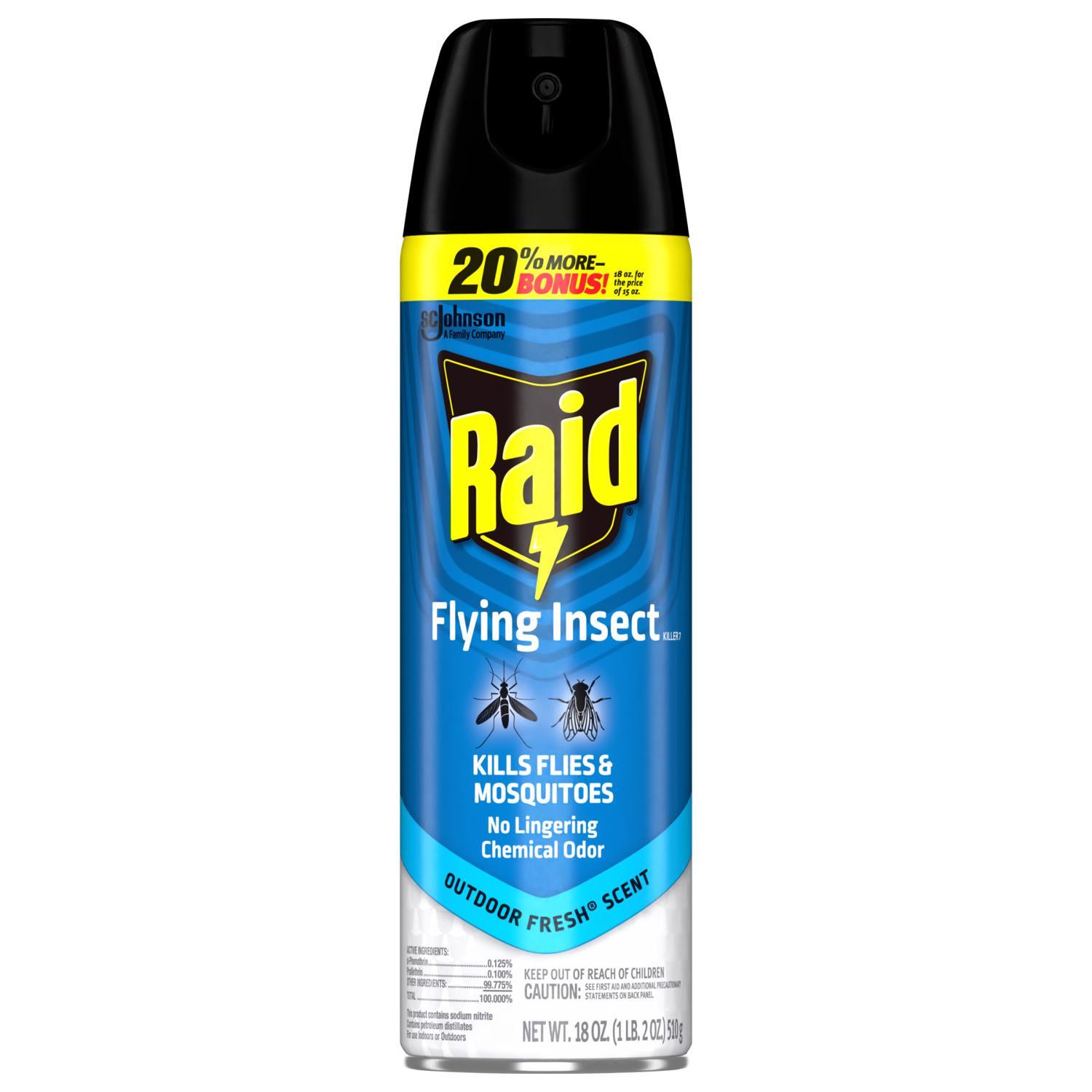 Raid Insect Killer Aerosol 18 oz
