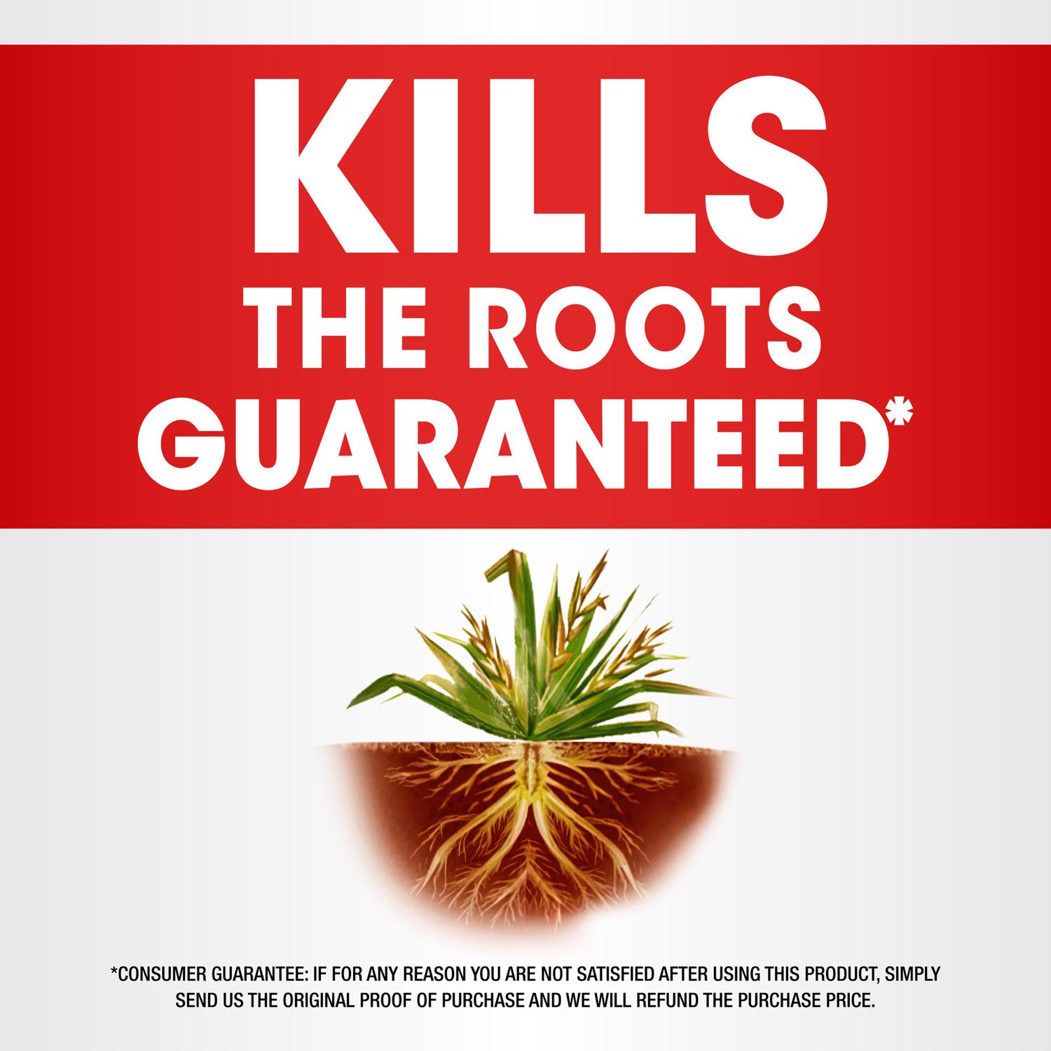 Roundup Weed and Grass Killer Concentrate 16 oz