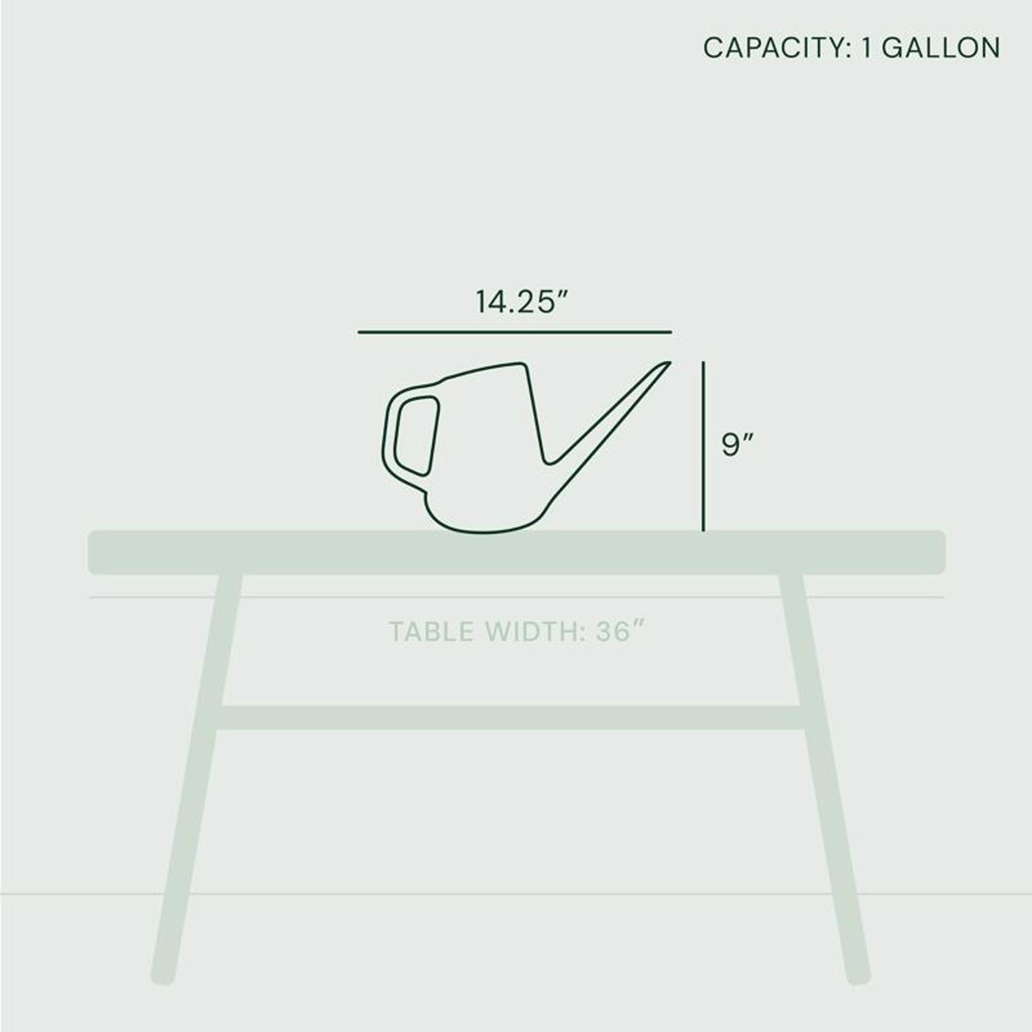 Bloem Fern Gray 1 gal Resin Watering Can