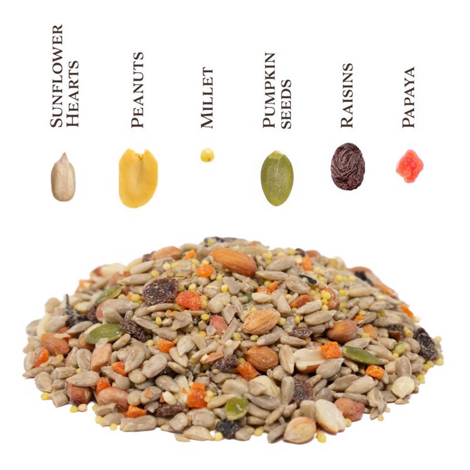Songbird Selections Wild Bird Food 10 lb