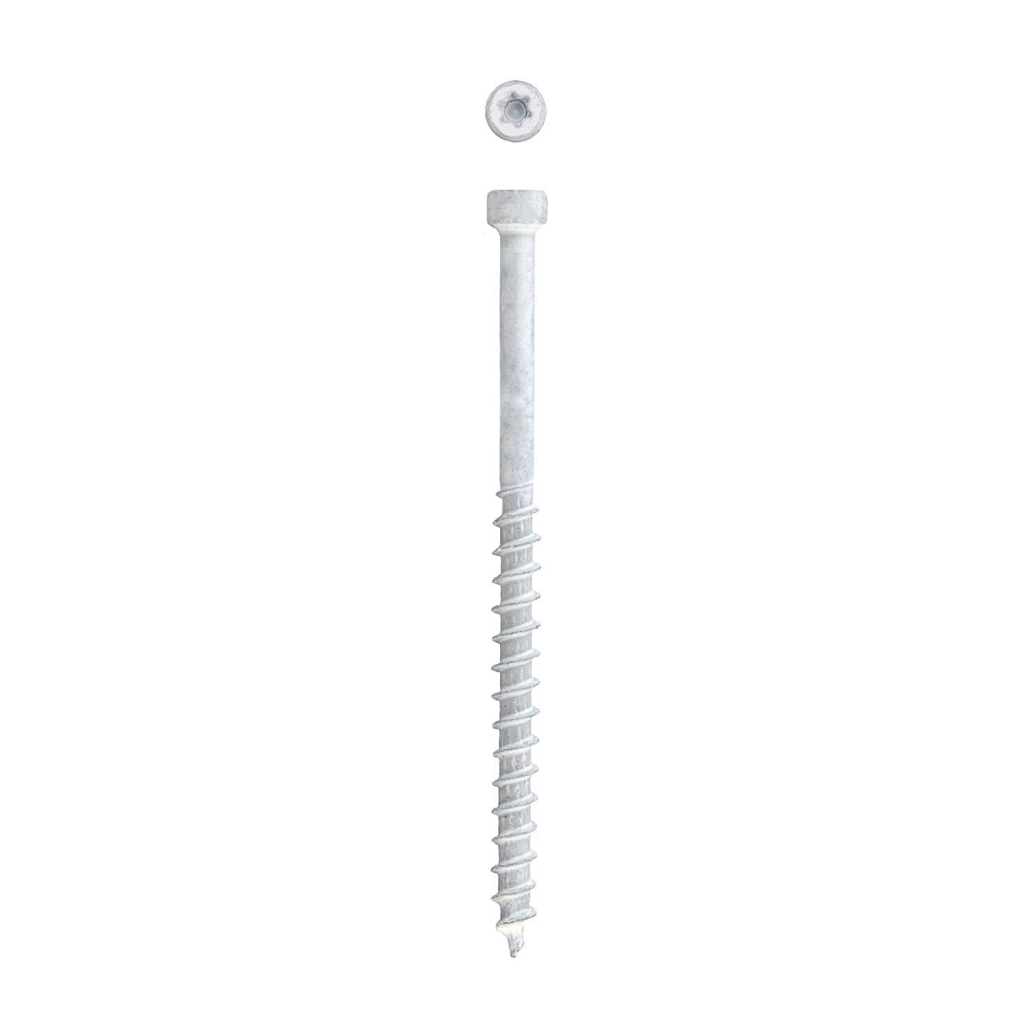 SPAX PowerTrim No. 8 Label X 2-1/2 in. L Star Trim Head Serrated Trim Screws