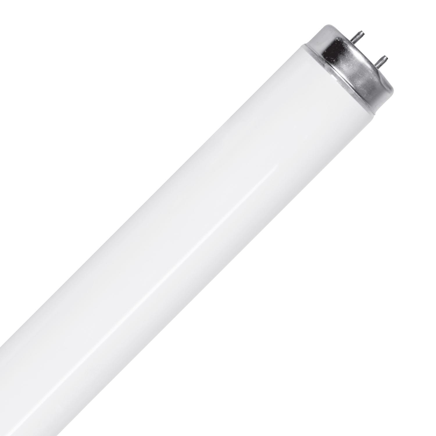 Feit Legacy Bulbs 32 W T8 1 in. D X 47.5 in. L Fluorescent Bulb Warm White Linear 3000 K 2 pk