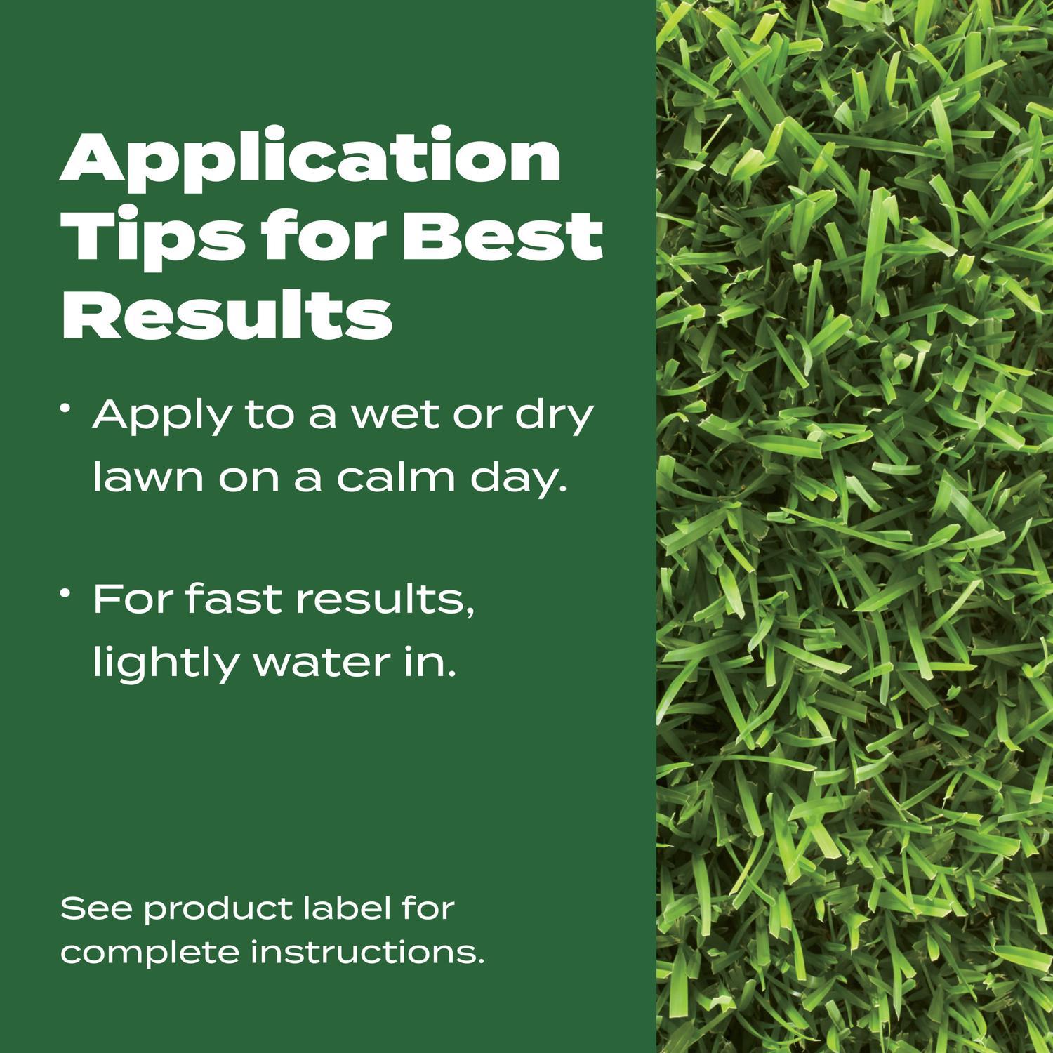 Scotts Turf Builder Southern All-Purpose Southern Lawn Food For All Grasses 10000 sq ft