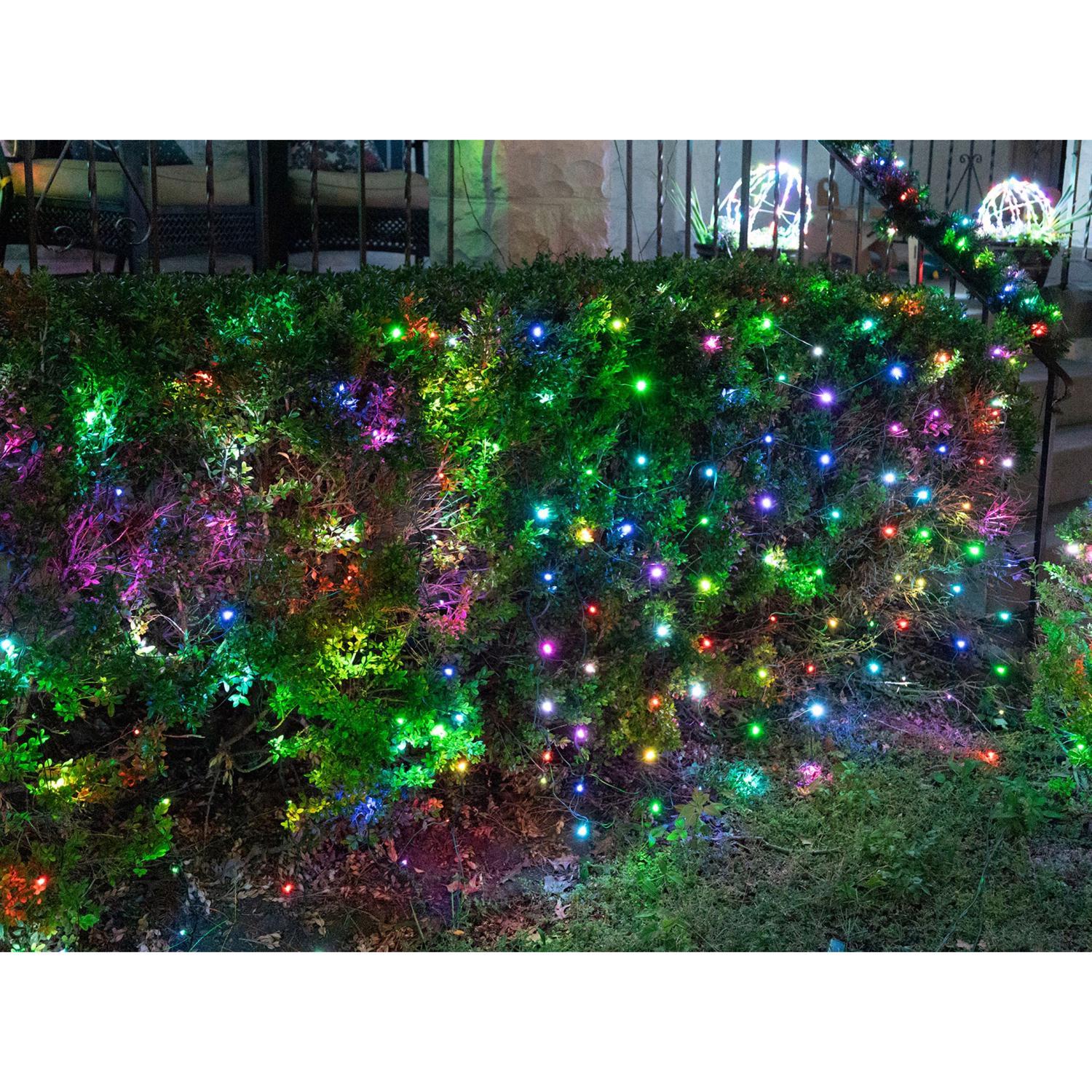 Celebrations Platinum LED T5 Multicolored 100 ct Net Smart-Enabled Christmas Lights 4 ft.