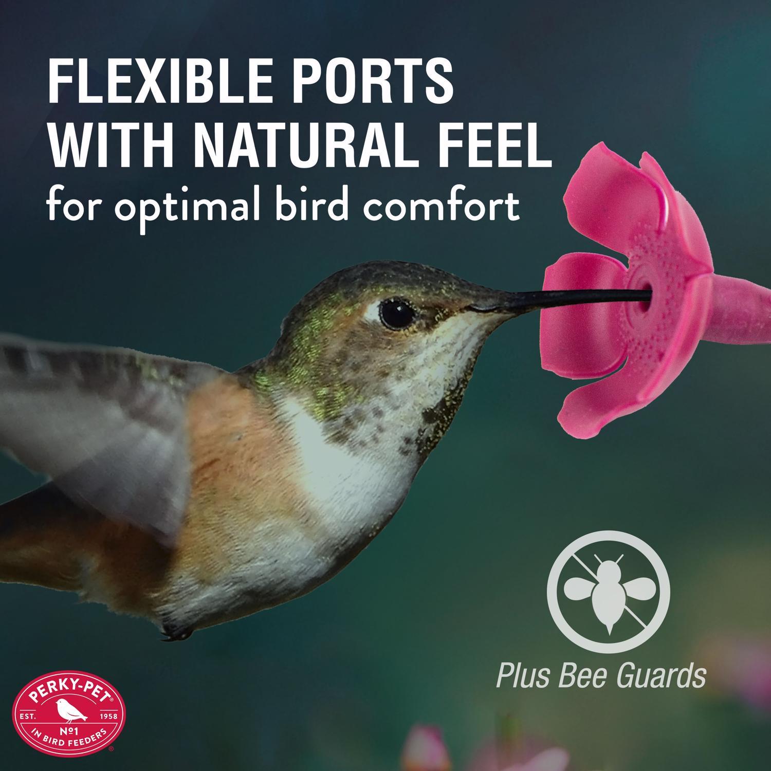 Perky-Pet Hummingbird 24 oz Glass/Plastic Diamond Wine Nectar Bird Feeder 5 ports