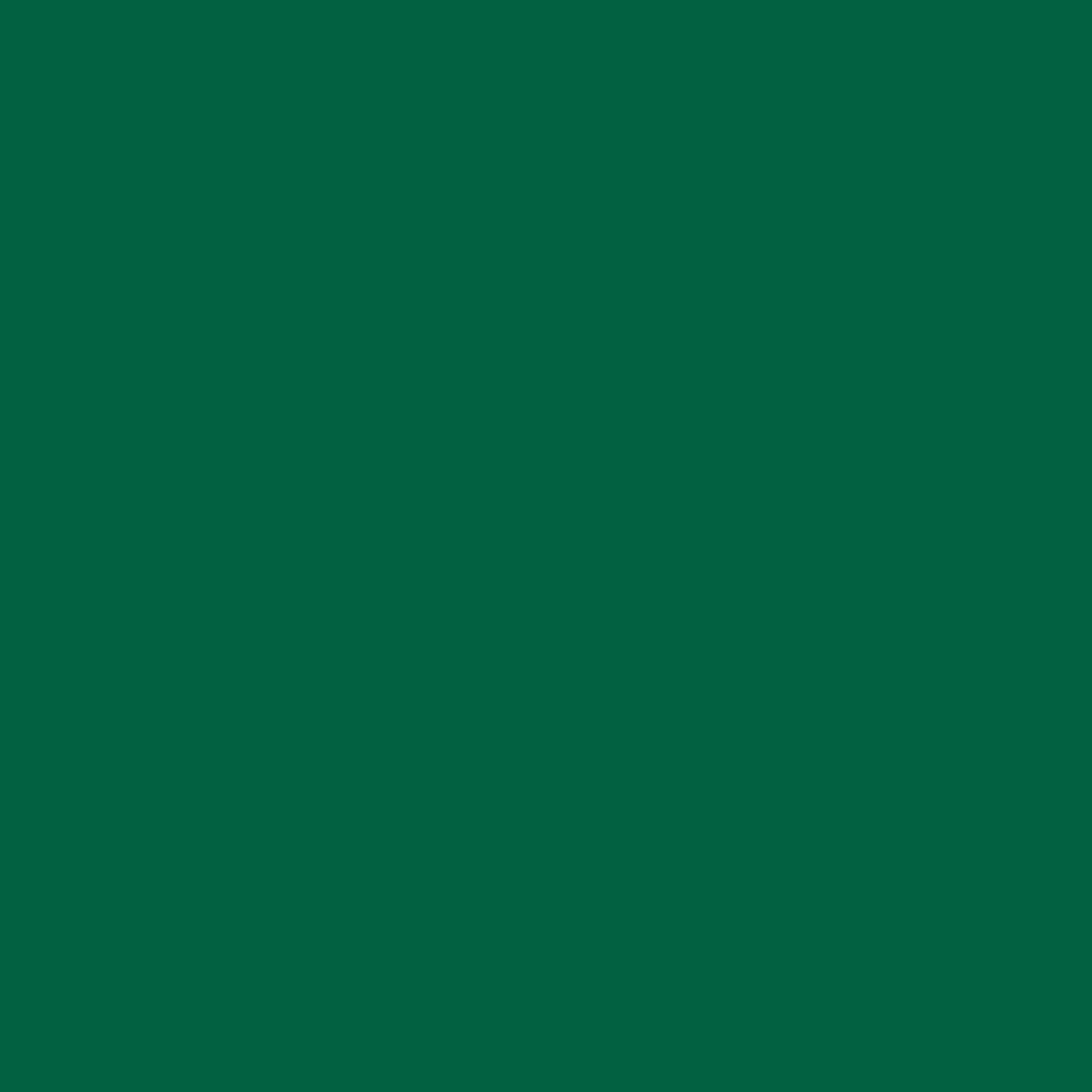 Ace Premium Gloss Garden Green Paint + Primer Enamel Spray 12 oz