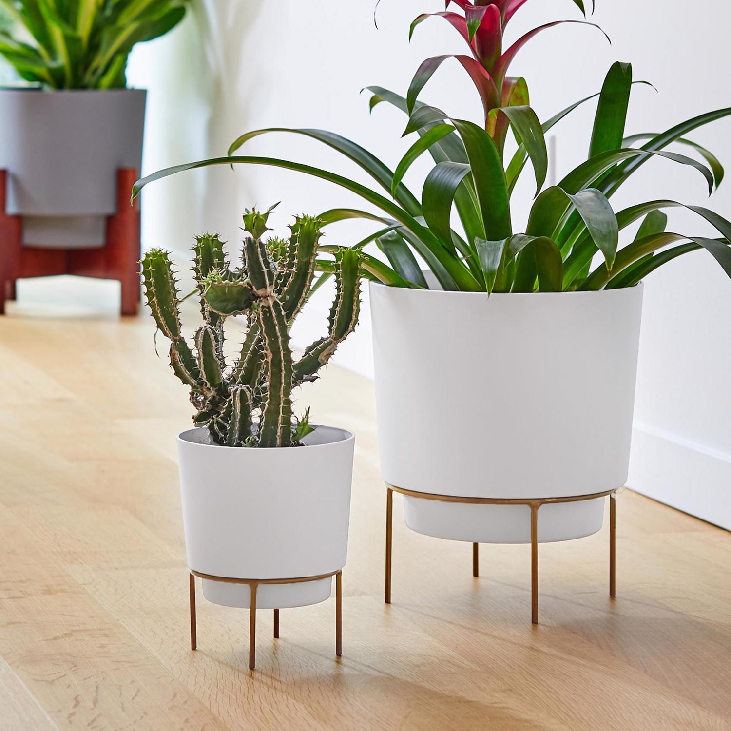 Bloem Hopson 12 in. H X 10 in. W X 10 in. D X 10 in. D Metal/Plastic Metal Stand Planter with Stand
