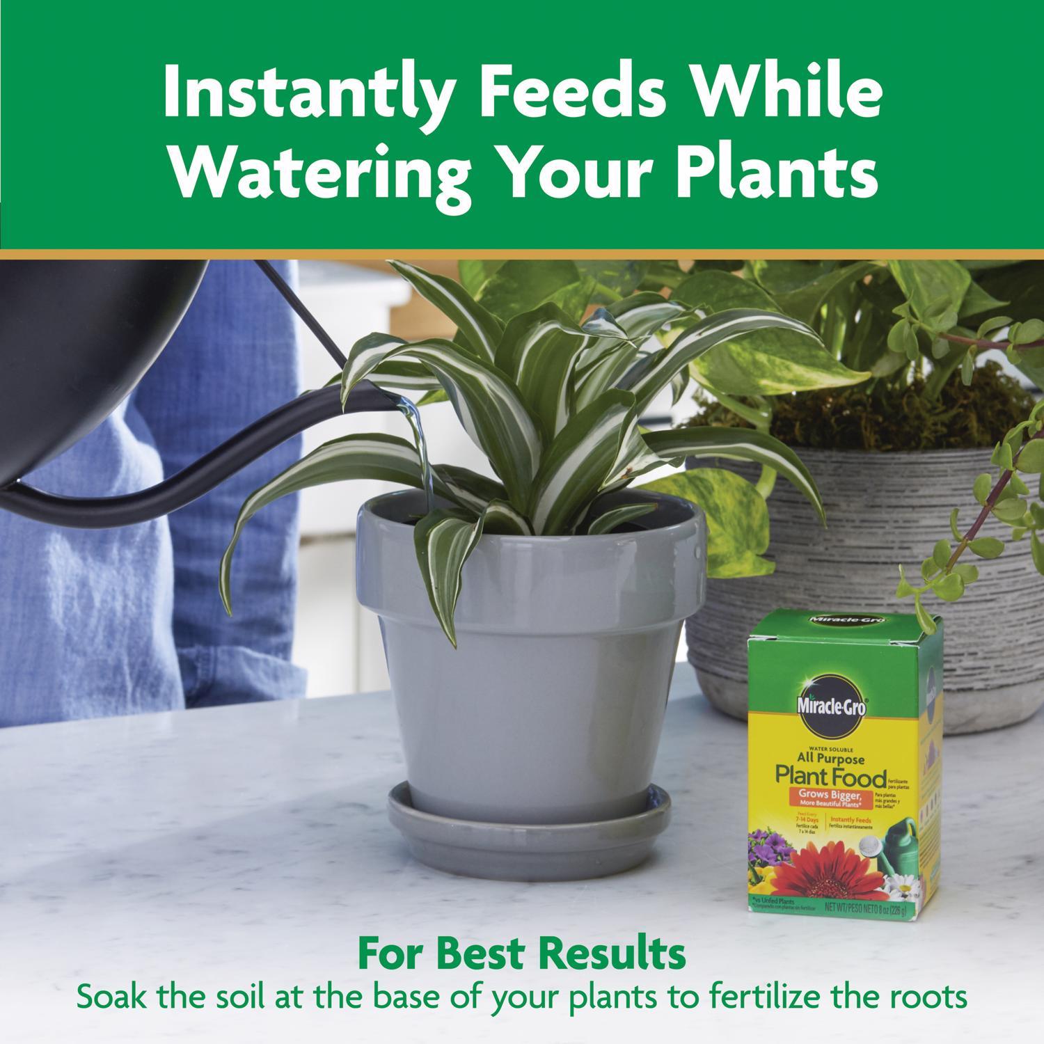 Miracle-Gro Granules Tomato, Tulips, Strawberries Plant Food 8 oz