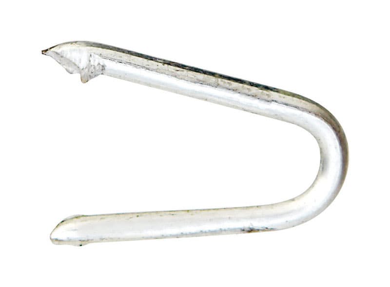 Ace.25 in. W X 3/4 in. L Galvanized Steel Poultry Staples 1 lb