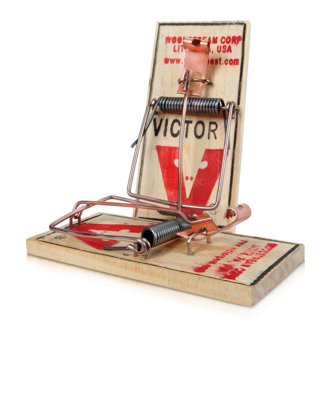 Victor Small Snap Trap For Mice 2 pk