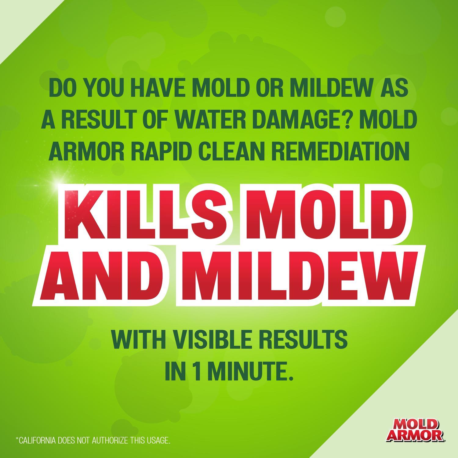 Mold Armor Mold and Mildew Remover 32 fl. oz.