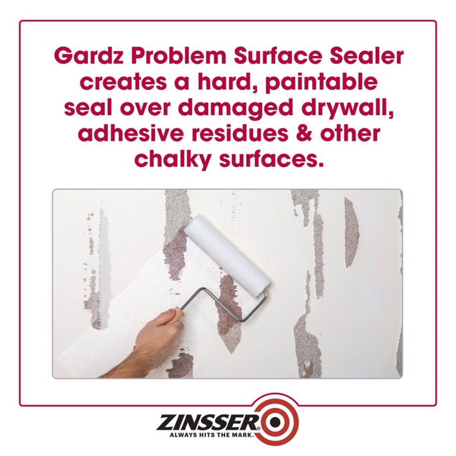 Zinsser Gardz Clear Matte Problem Surface Sealer 1 gal