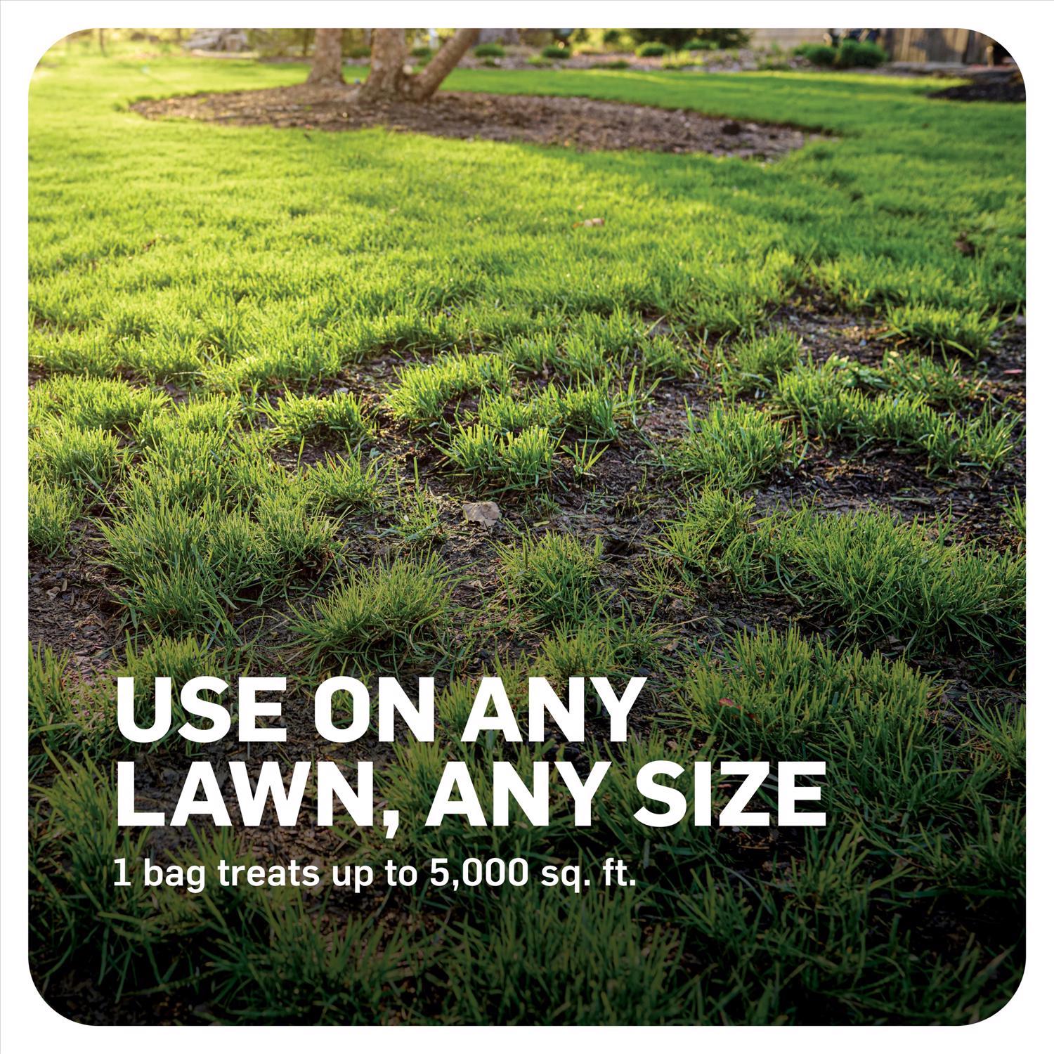 Scotts DiseaseEx Granules Lawn Fungicide 10 lb