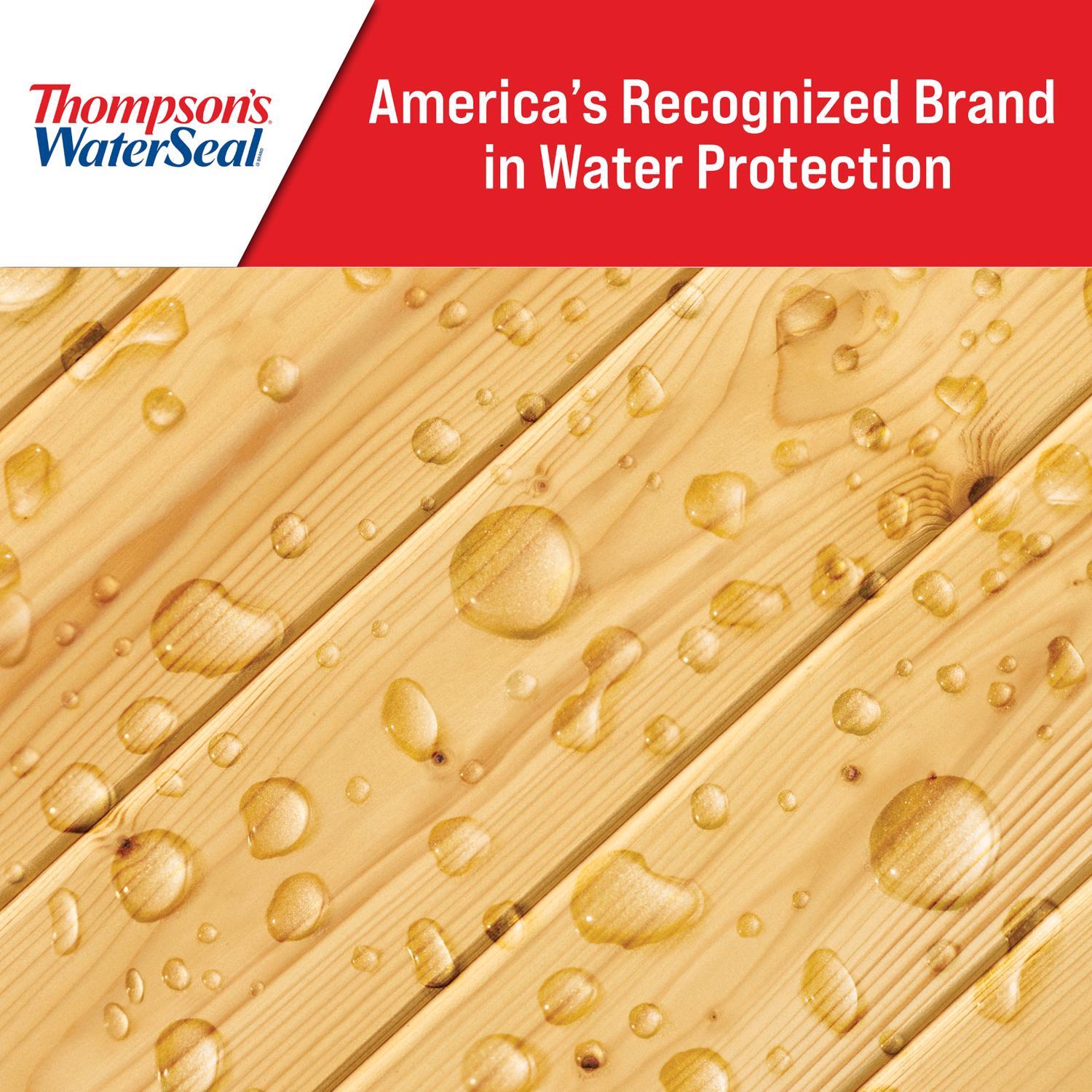 Thompson's WaterSeal Clear Fully-Transparent Water-Based Multi-Surface Waterproofer 12 oz
