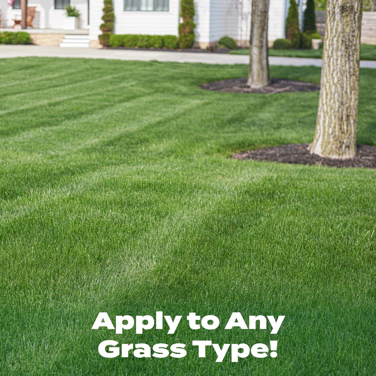 Scotts Turf Builder All-Purpose Lawn Food For All Grasses 2000 sq ft