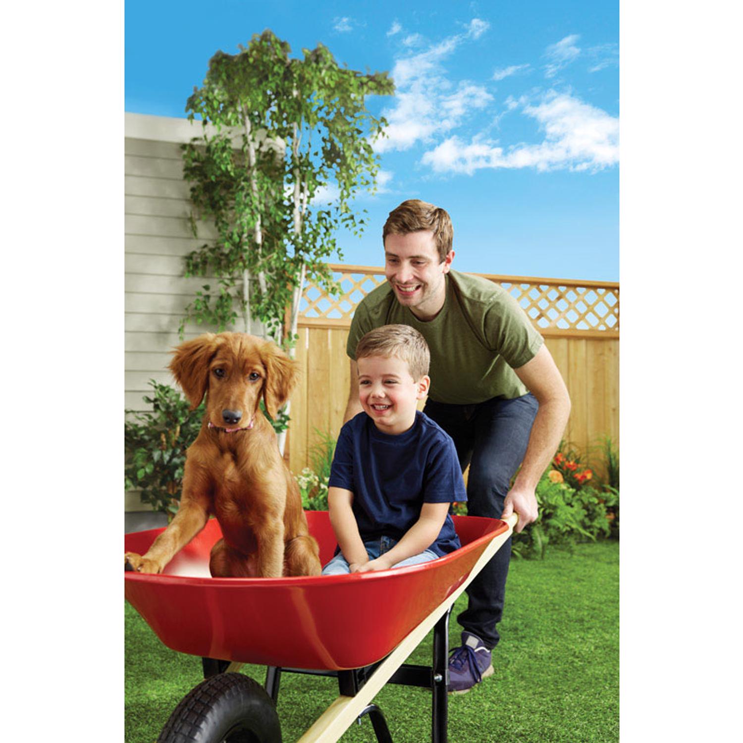 Ace steel single shop wheel wheelbarrow