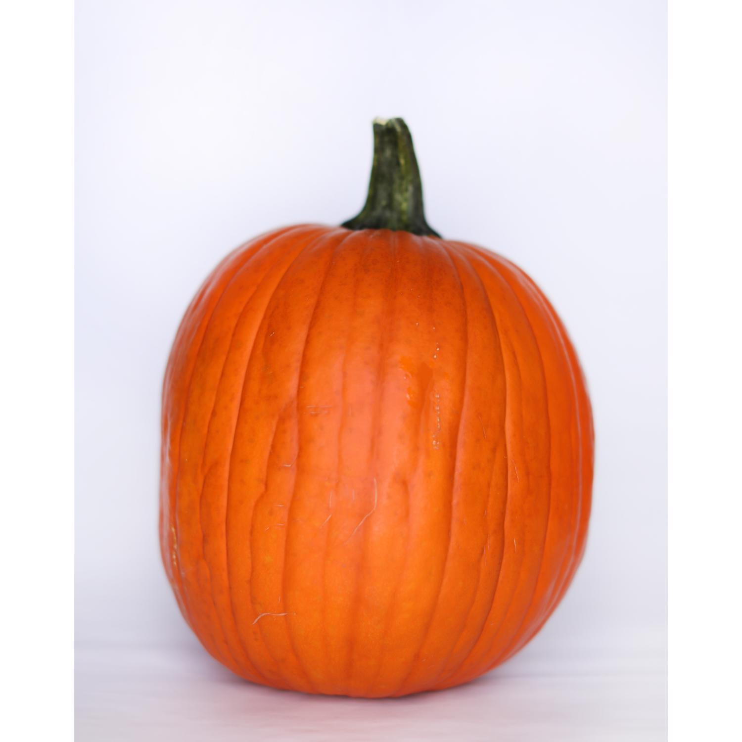 Classic Orange Pumpkin