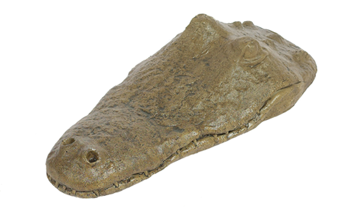 Statue Gator Head