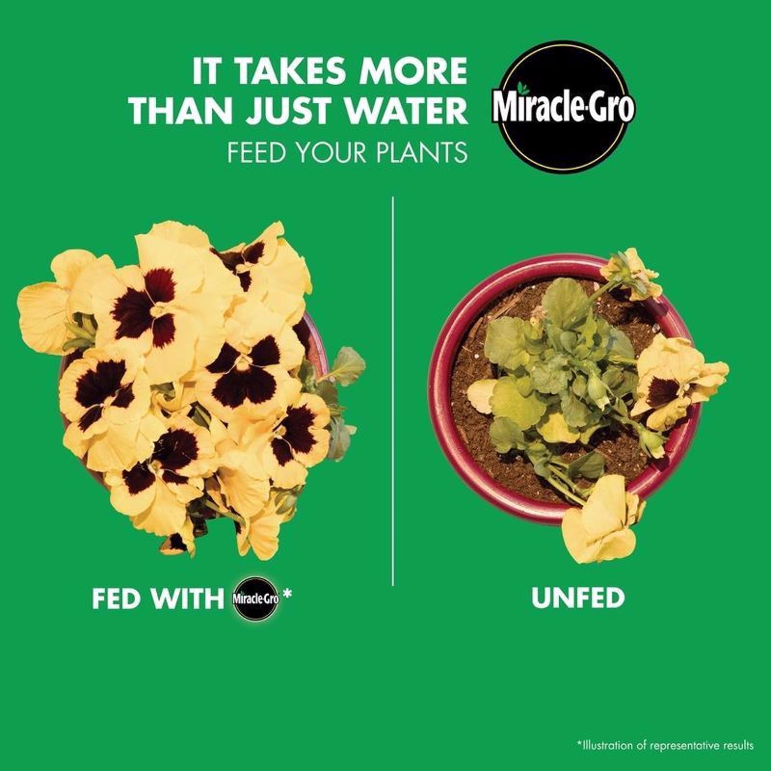 Miracle-Gro Watering Can Singles Powder Plant Food 24 pk