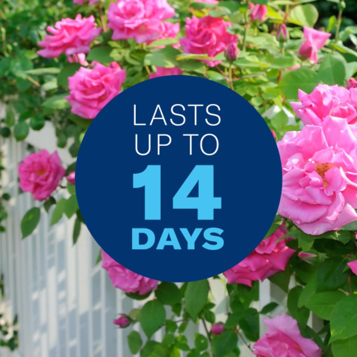 BioAdvanced 3-in-1, Non-Neonic, Ready-to-Spray Insect Disease & Mite Control Spray 32 fl. oz.