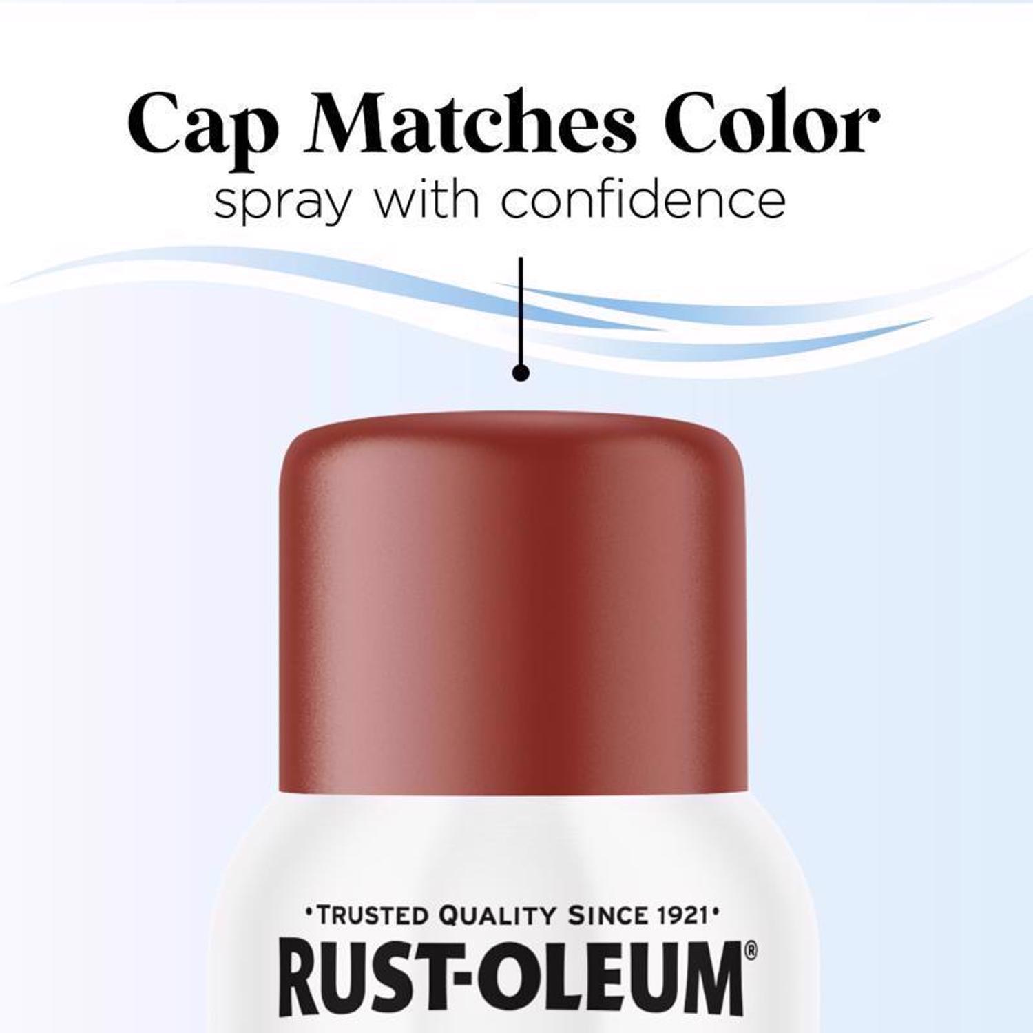 Rust-Oleum Low Odor Matte Timeless Red Spray Paint 11 oz.