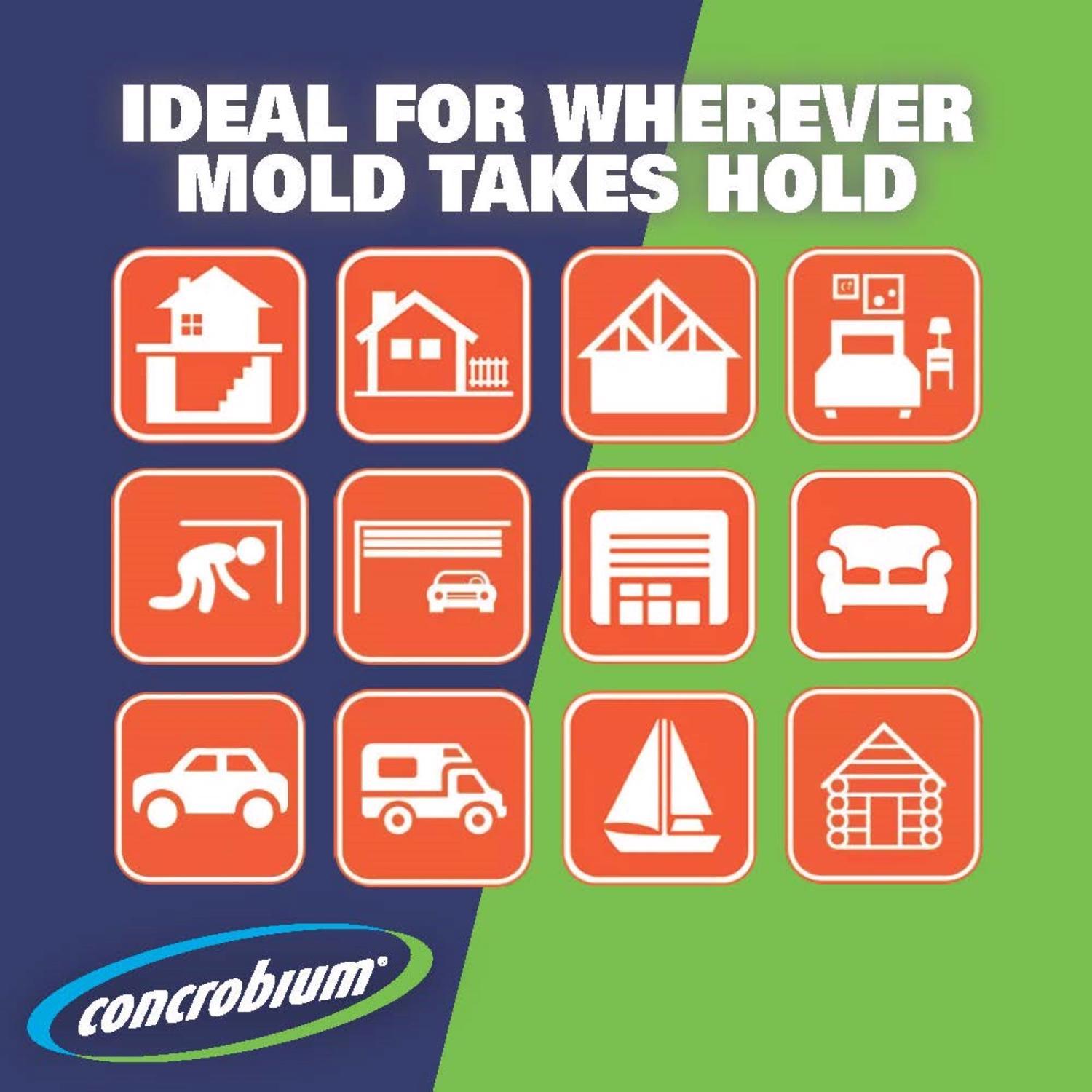 Concrobium Mold Control 32 oz