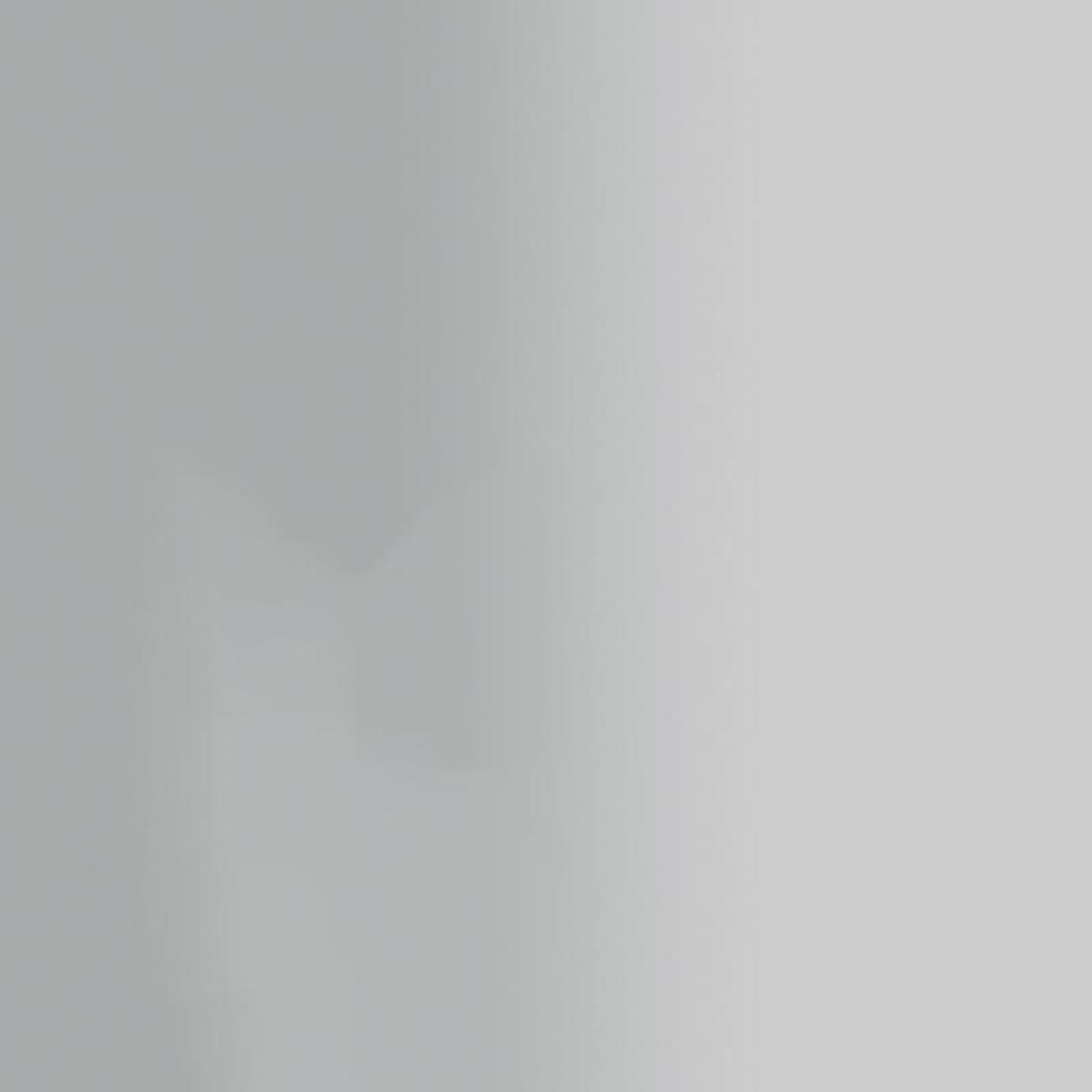 Rust-Oleum Stops Rust Metallic Matte Nickel Metallic Spray Paint 11 oz
