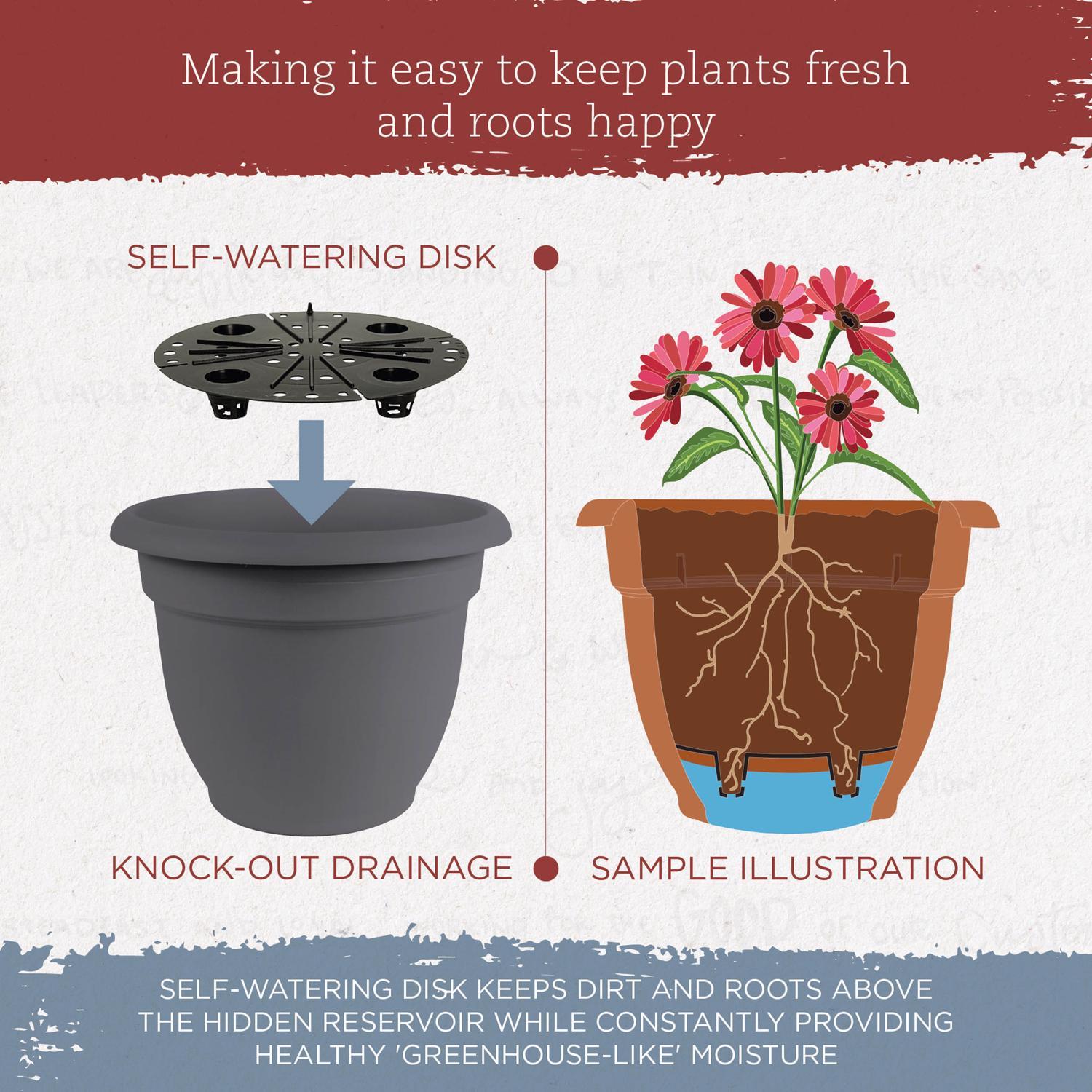 Bloem Ariana 8.5 in. H X 11 in. W X 10 in. D Plastic Traditional Planter Charcoal