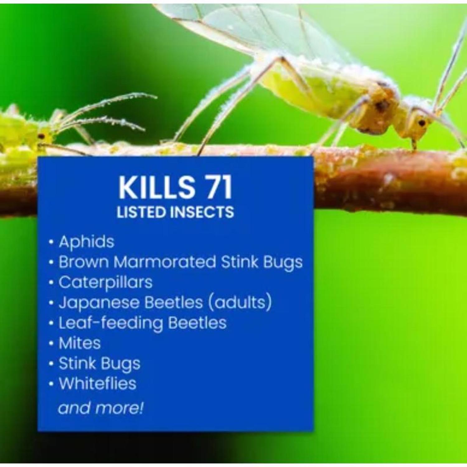 BioAdvanced Complete, Ready-to-Spray Insect Killer for Soil & Turf Liquid 32 oz