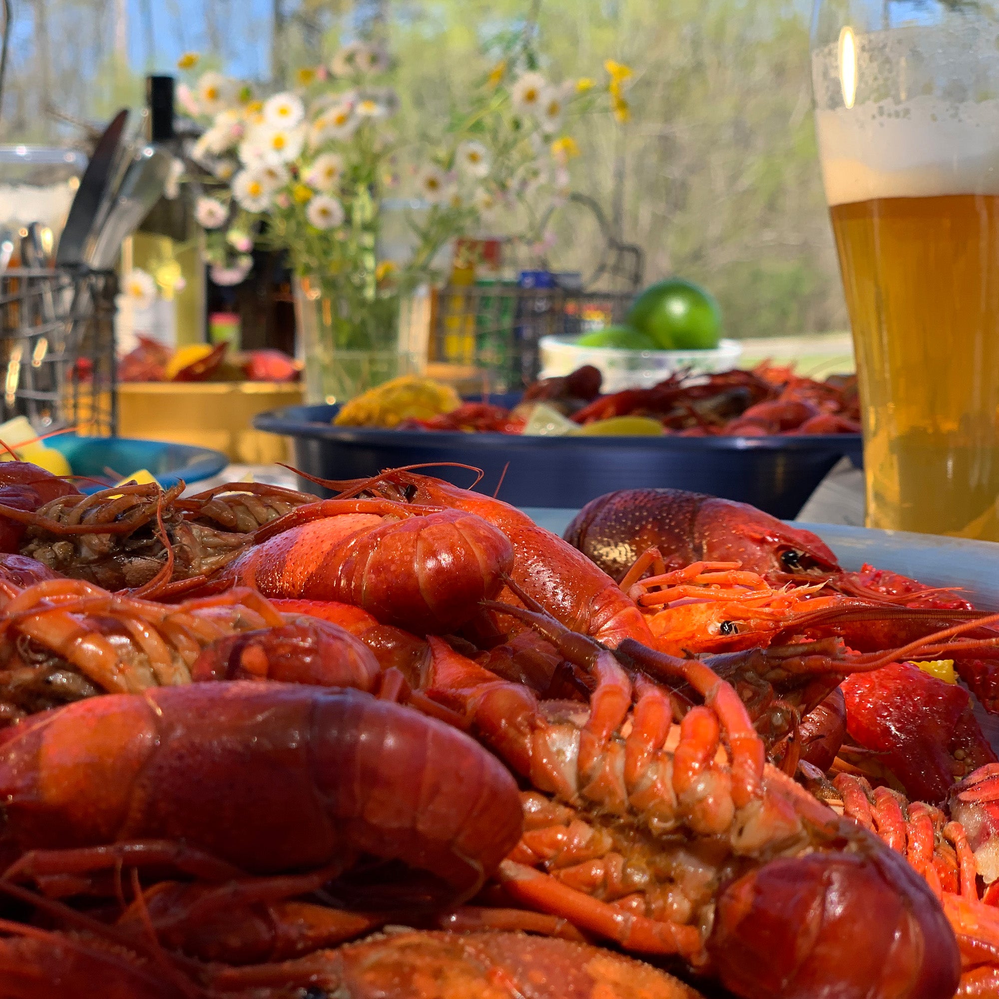 Bayou Classic 14-in Seafood Serving Trays ~ 4-pc Set