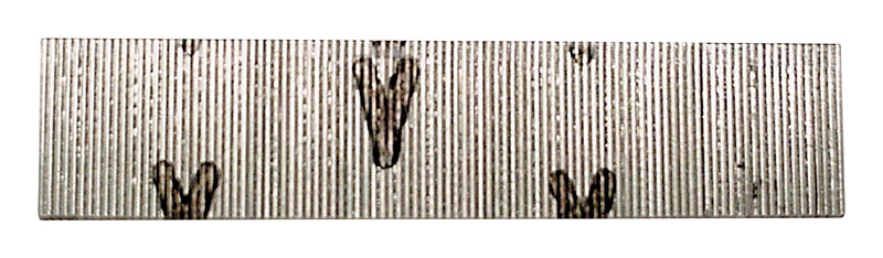 Senco 5/8 in. L 23 Ga. Galvanized Straight Strip Pins 2 600 pk