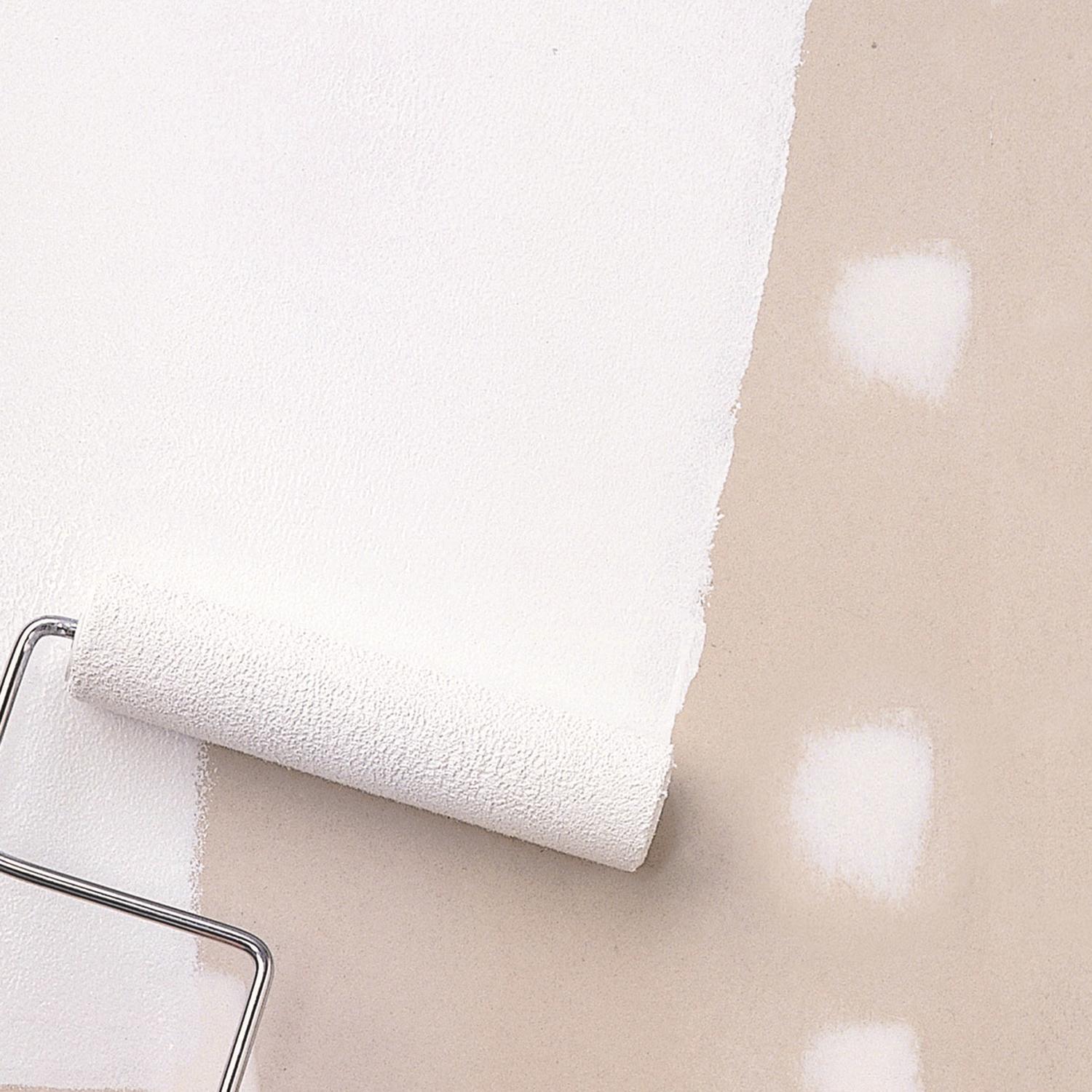 Zinsser White Flat/Matte Water-Based Styrenated Acrylic Primer 1 gal