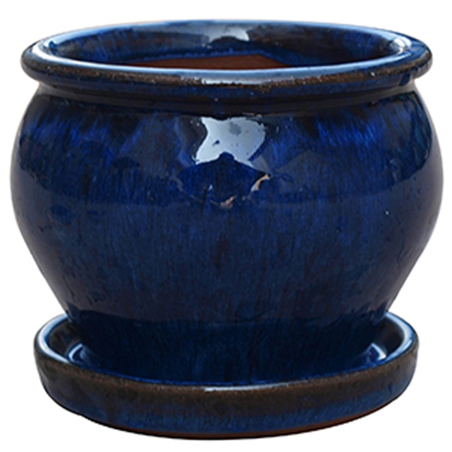Trendspot 4 in. D Ceramic Planter Assorted