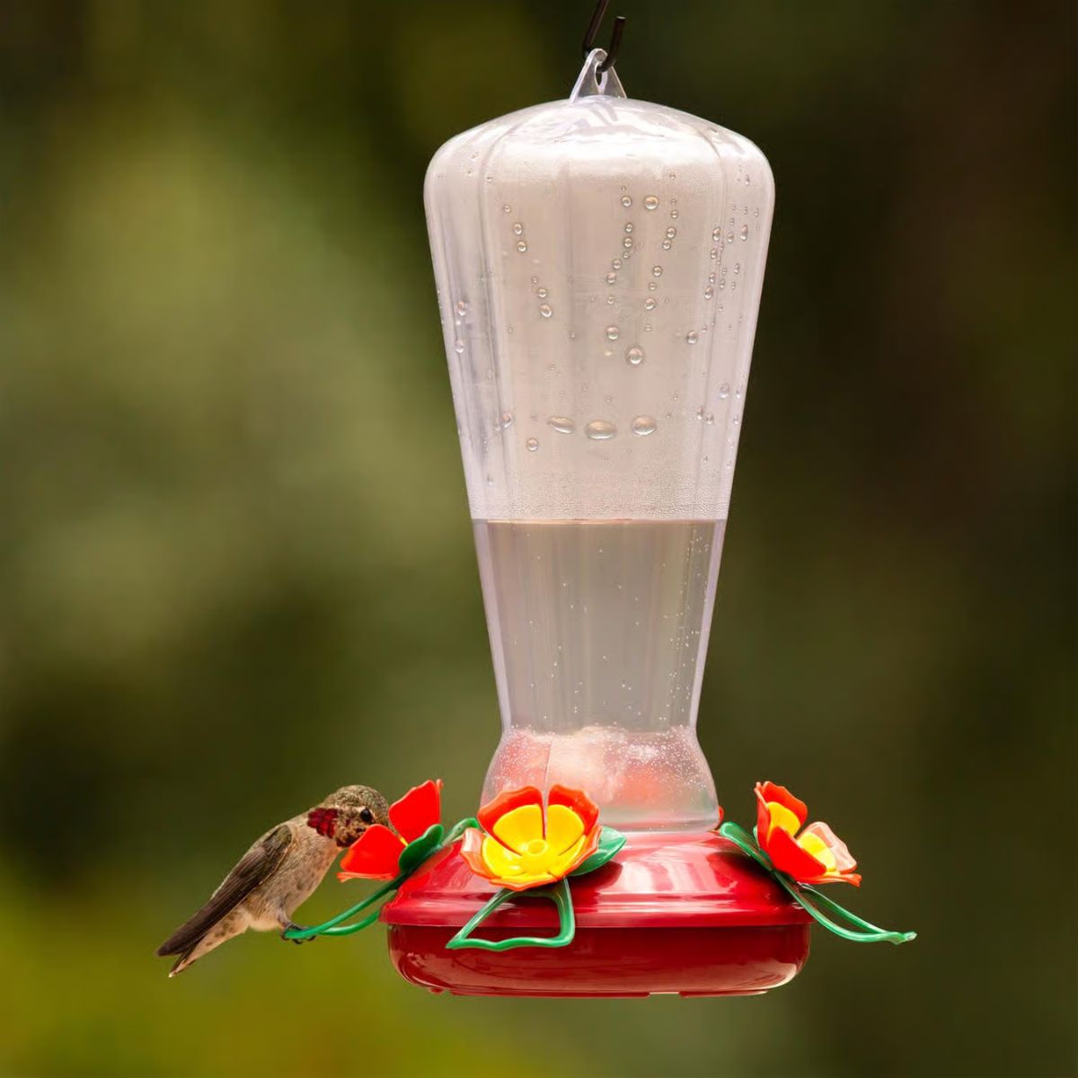 More Birds Hummingbird 25 oz. Plastic Nectar Bird Feeder 4 ports