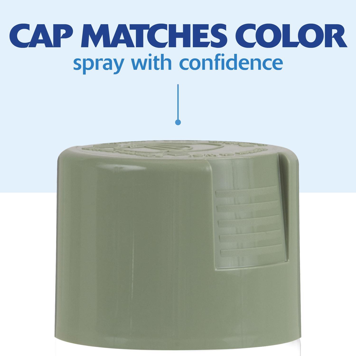 Rust-Oleum Painter's Touch 2X Ultra Cover Gloss Sage Green Paint+Primer Spray Paint 12 oz