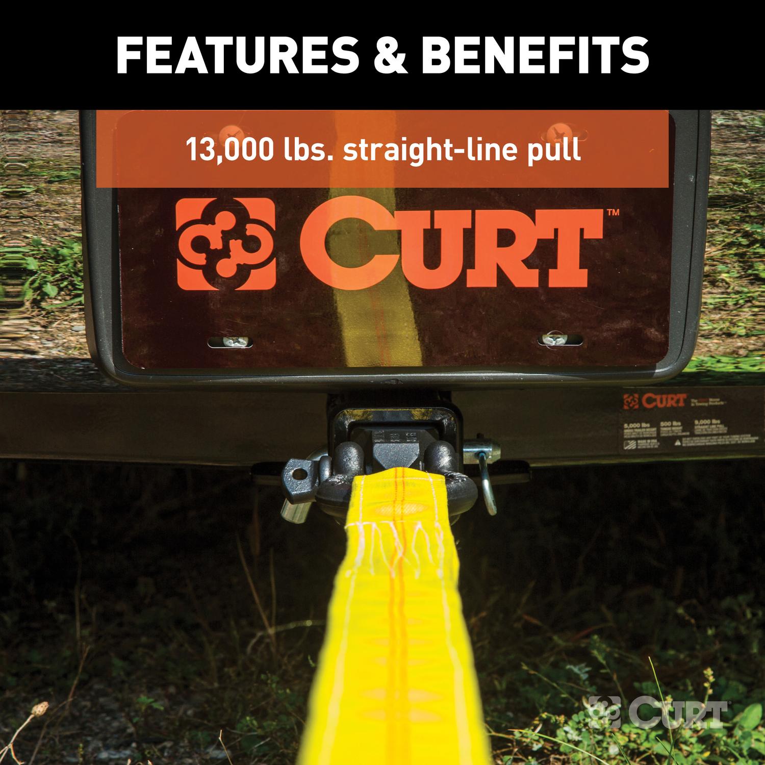 CURT 13000 lb. cap. D-Ring Shackle Mount