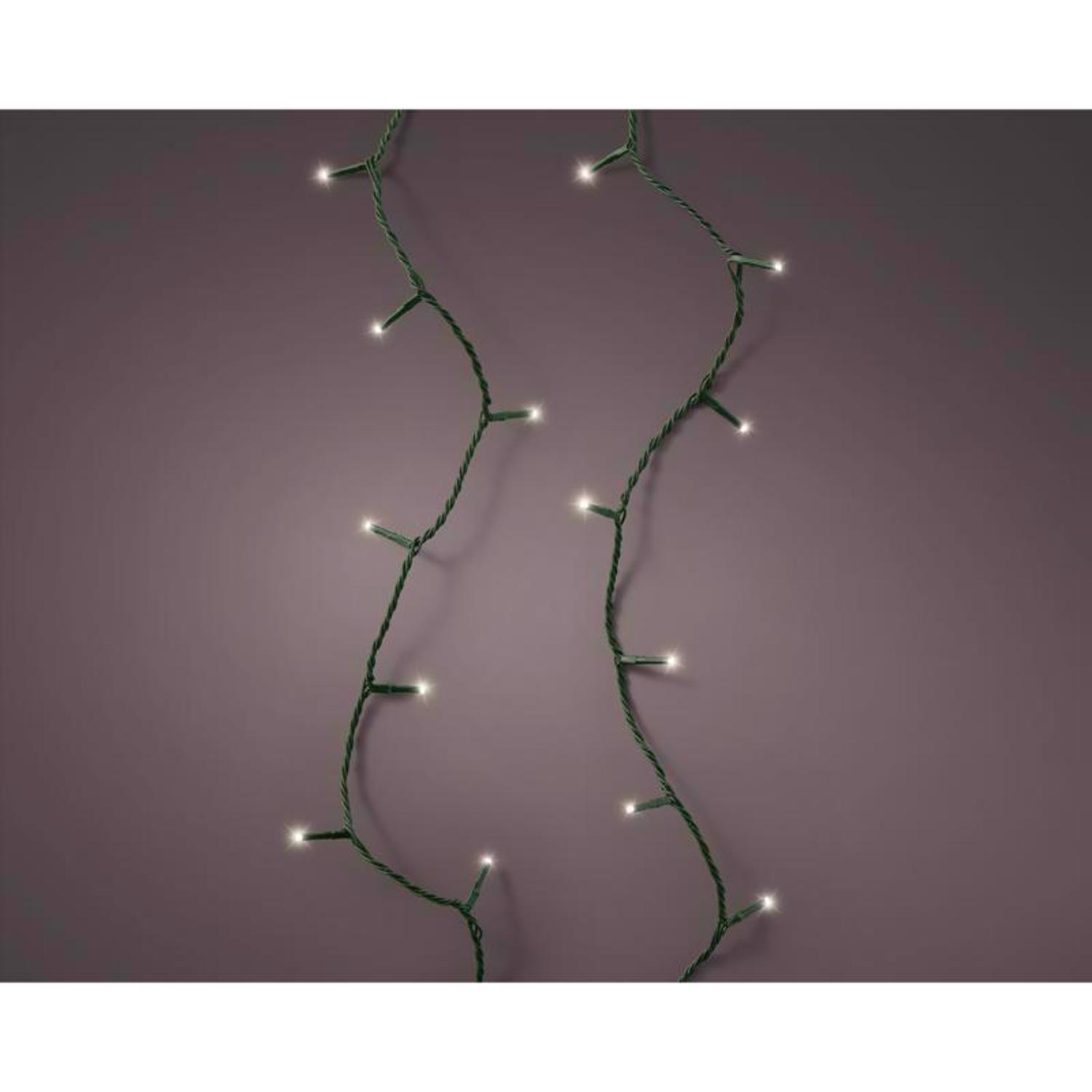 Celebrations Gold LED Clear/Warm White 250 ct Christmas Lights 61.35 ft.