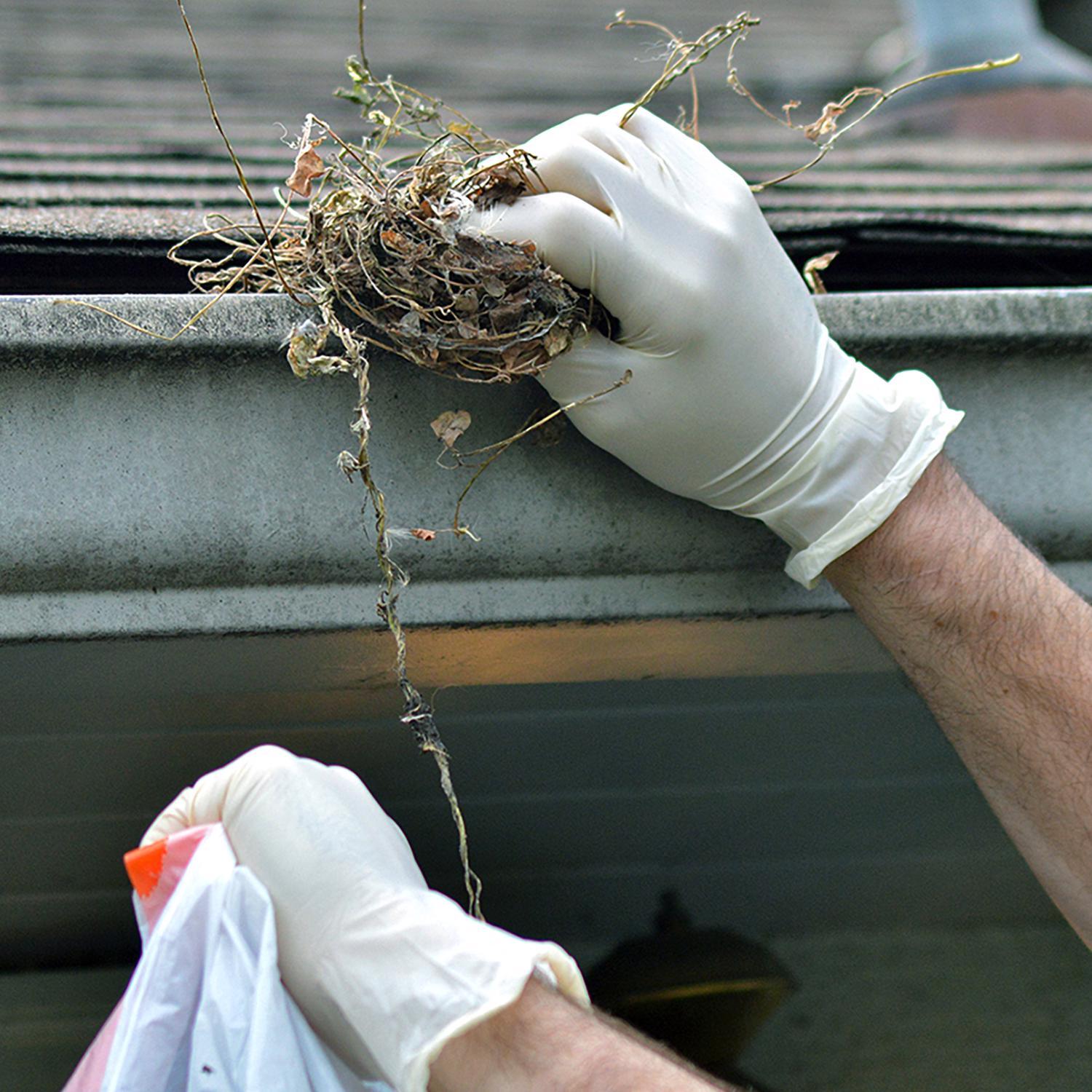 Gloveworks Latex Disposable Gloves Large Ivory Powder Free 100 pk