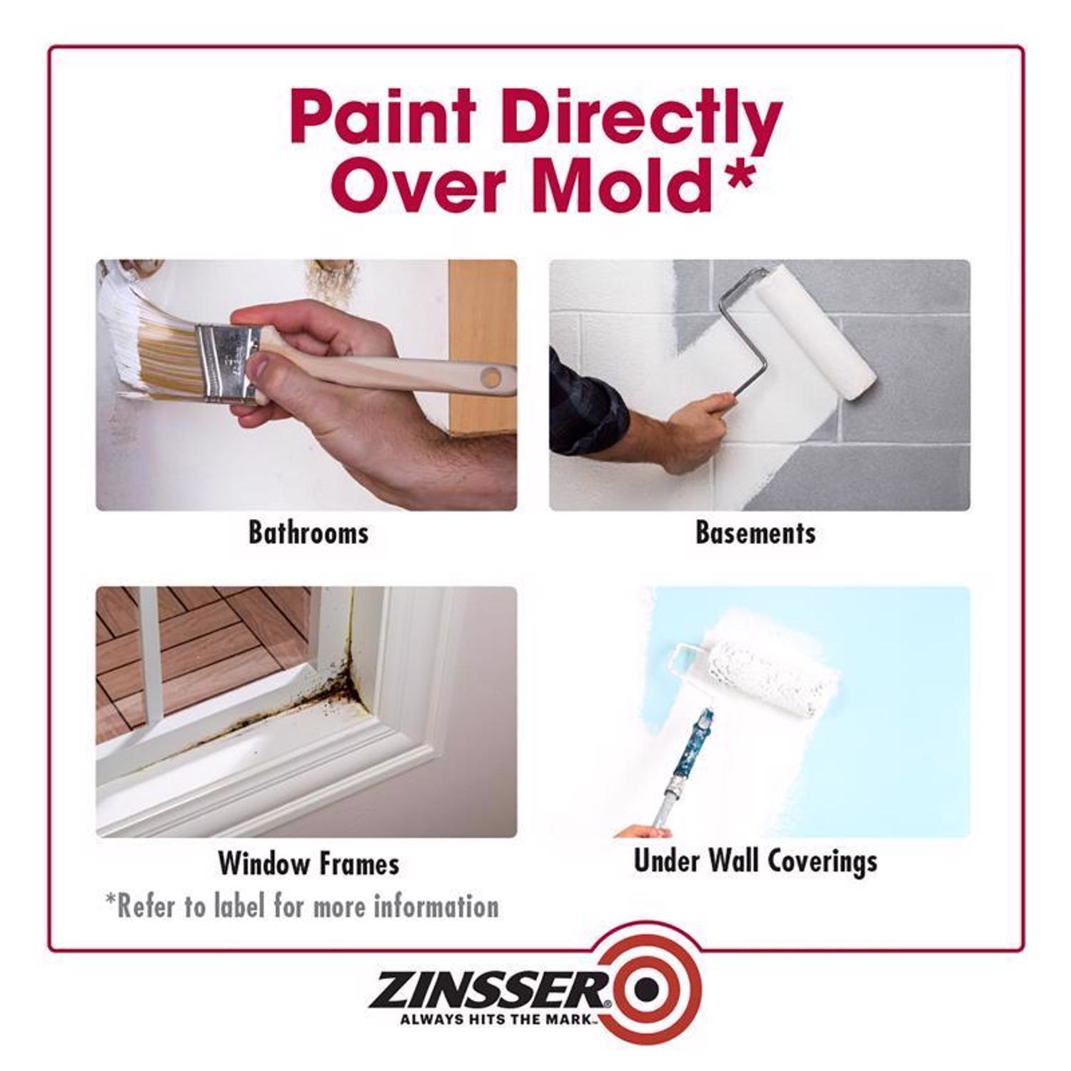 Zinsser White Water-Based Acrylic Mold Killing Primer 1 gal