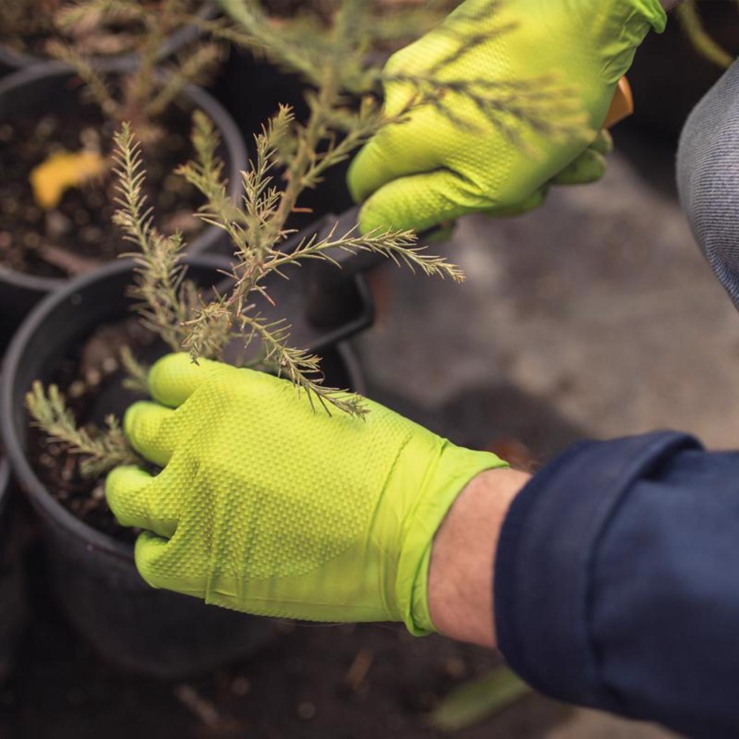 Gloveworks Nitrile Disposable Gloves Large Green Powder Free 100 pk