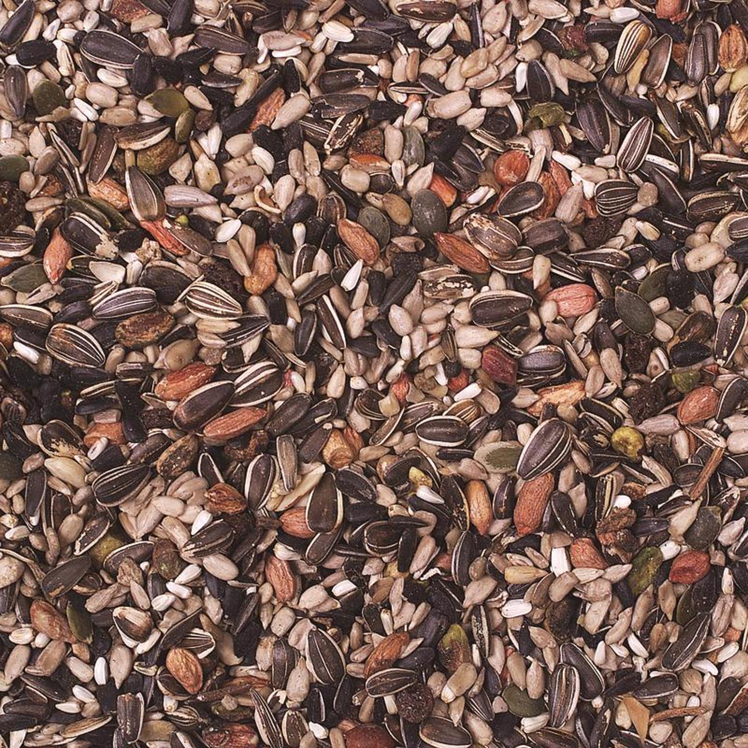 Wild Delight Nut N Berry Wild Bird Food 20 lb