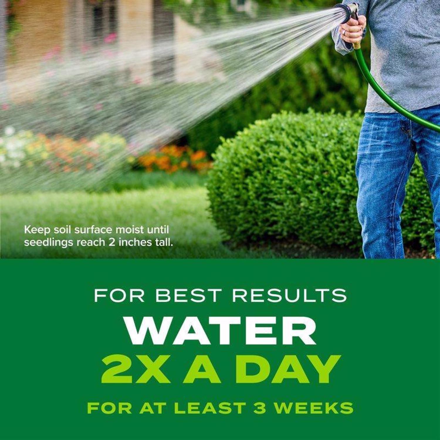 Scotts Turf Builder Rapid Grass Bermuda Grass Sun or Shade Grass Seed and Fertilizer 4 lb