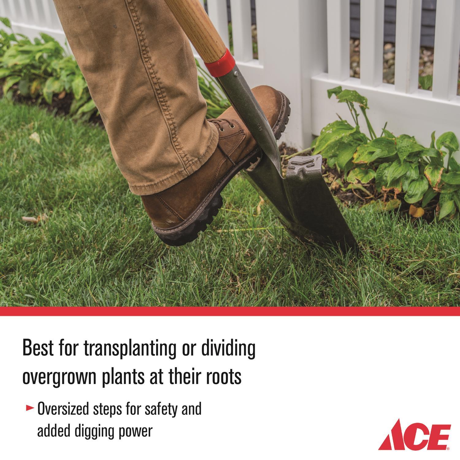 Ace 41.5 in. Steel Garden Spade Wood Handle