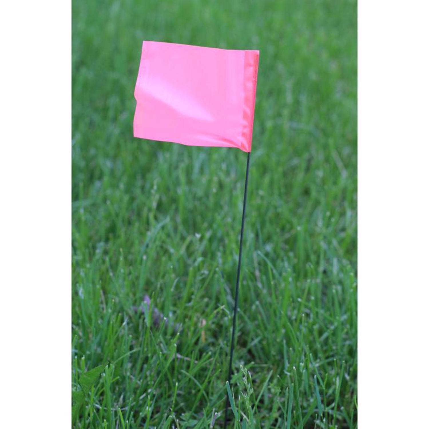 C.H. Hanson 21 in. Pink Marking Flags Polyvinyl 100 pk