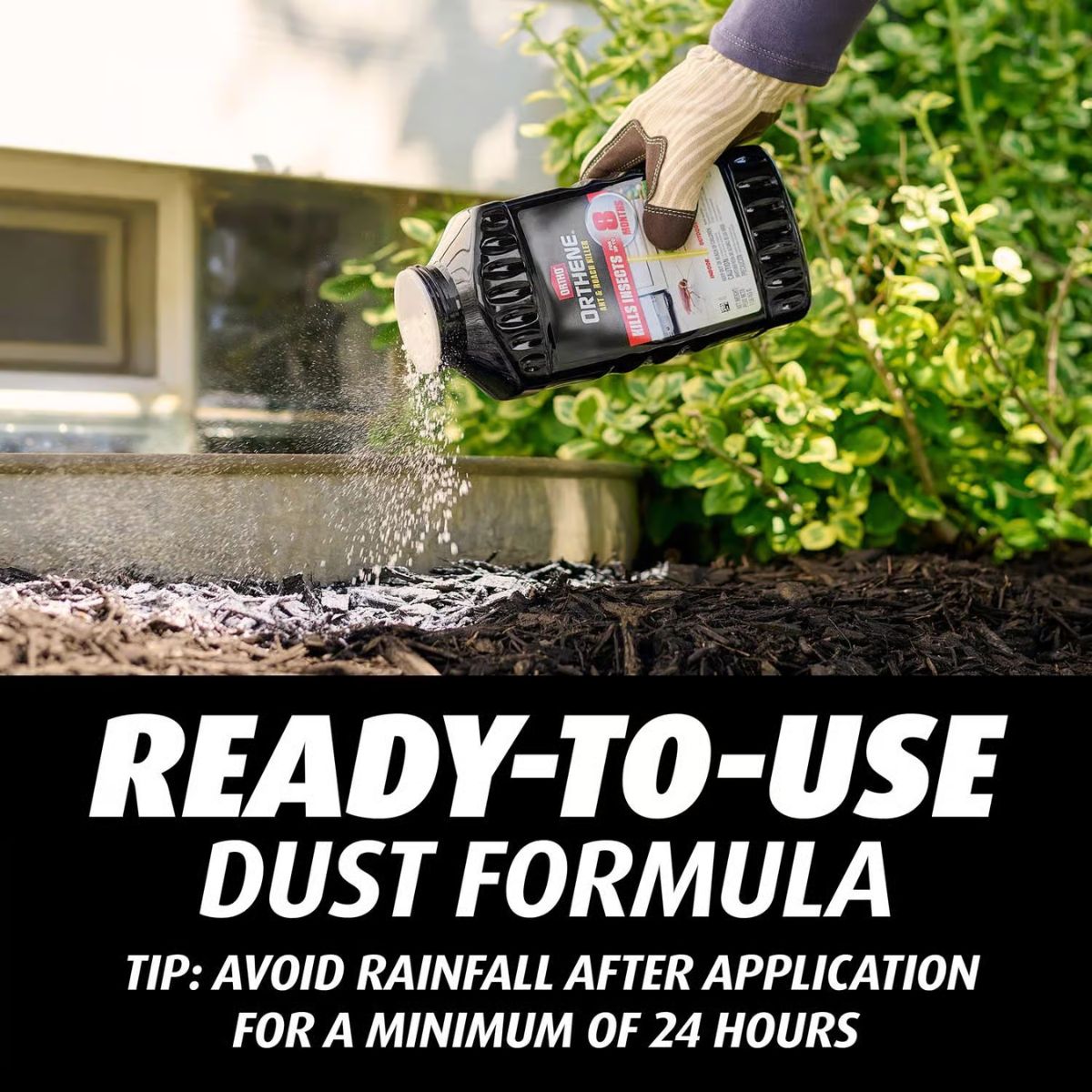 Ortho Orthene Ant and Roach Killer Dust 1 lb.